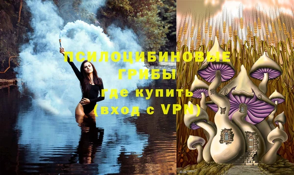 MDMA Горнозаводск