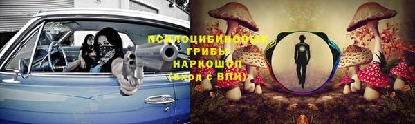MDMA Горнозаводск