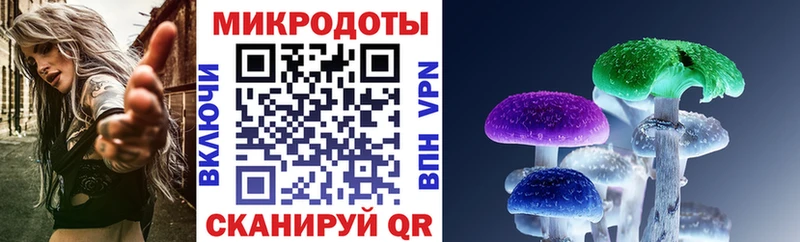 Галлюциногенные грибы MAGIC MUSHROOMS  Закаменск 
